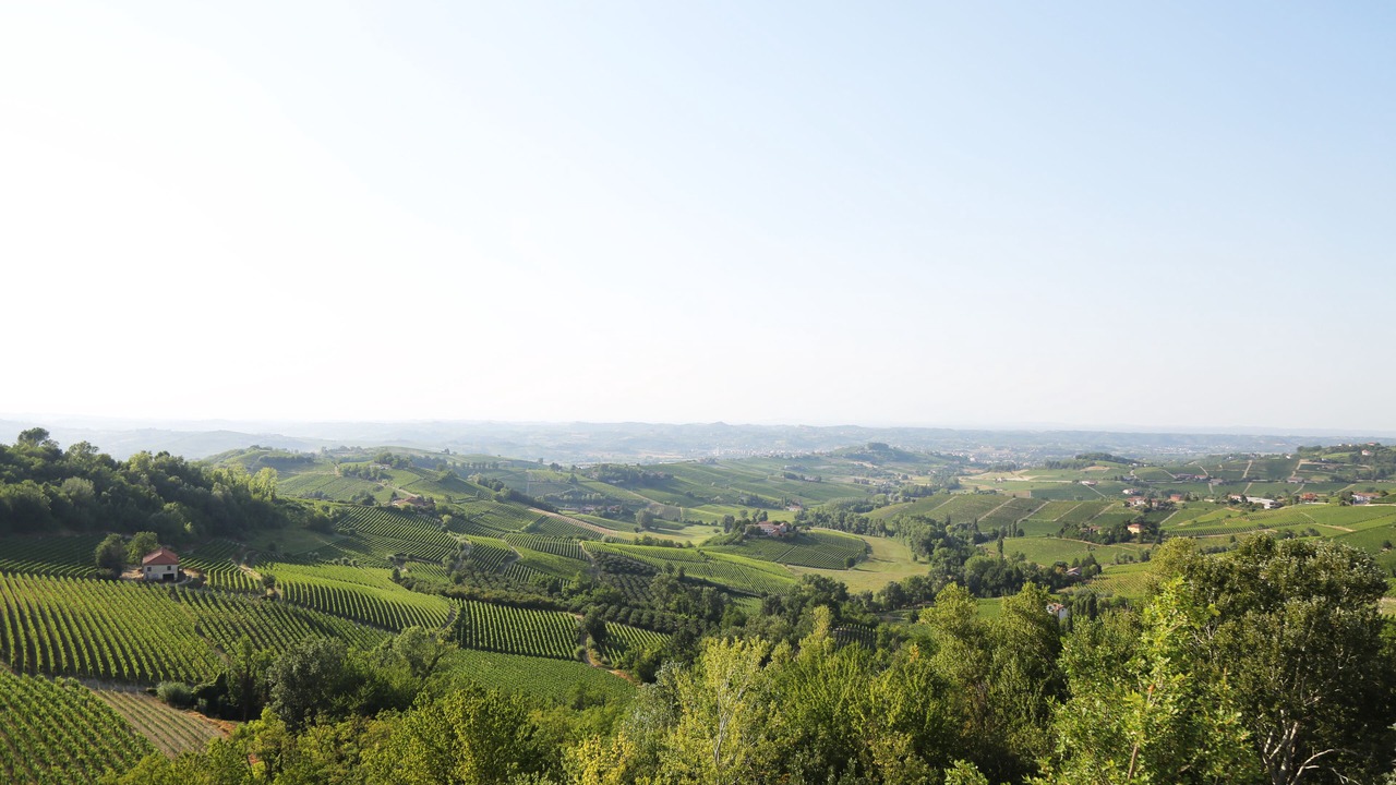 Photo of Others in Castel Boglione