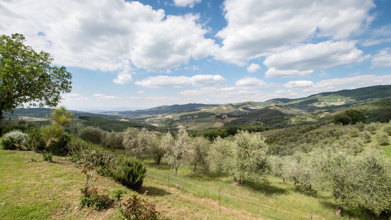 Photo of Outdoor in Panzano in Chianti