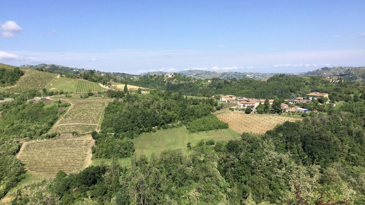 Photo of Others in Canelli