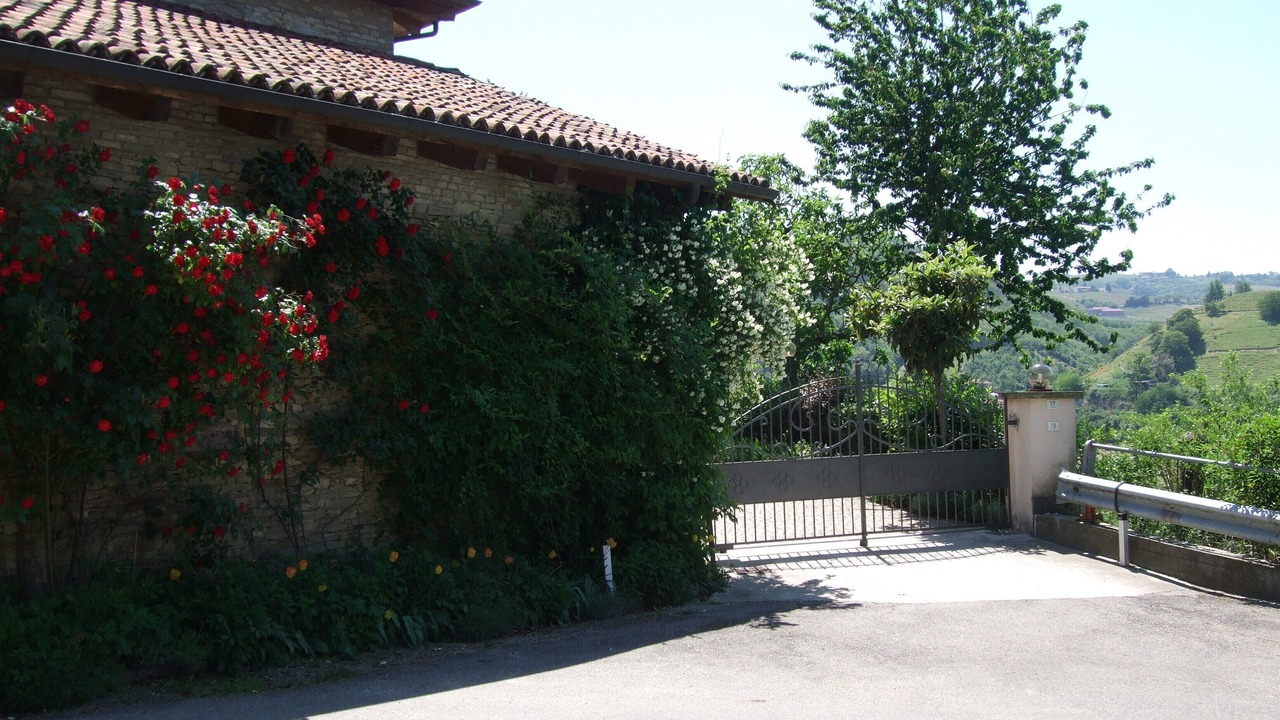 Photo of Others in Canelli
