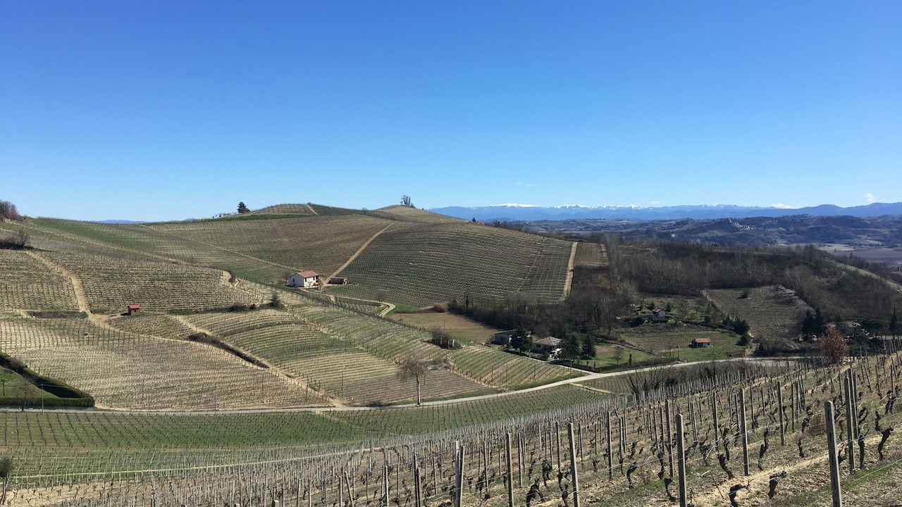 Photo of Outdoor in Strevi