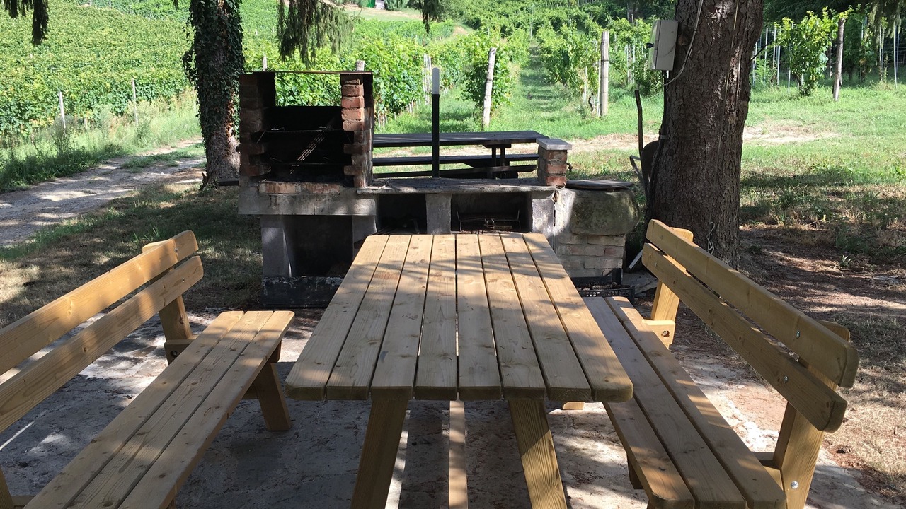 Photo of Outdoor in Strevi