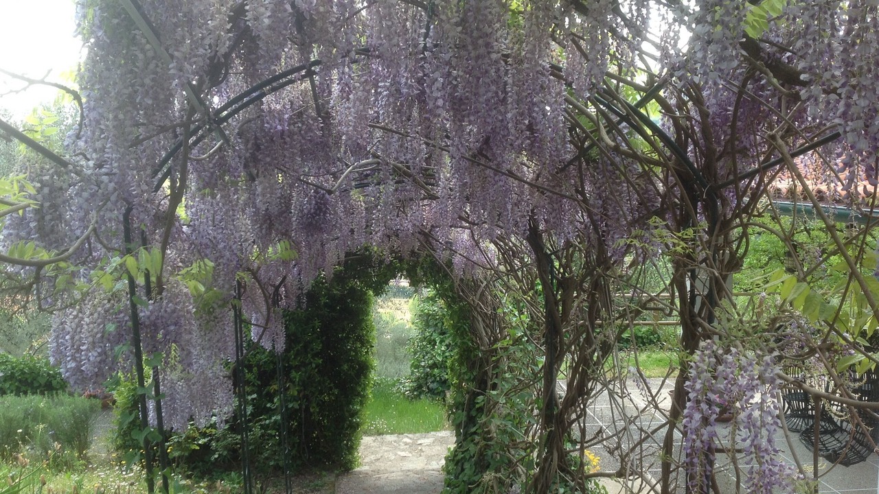 Photo of Outdoor in Cinto Euganeo