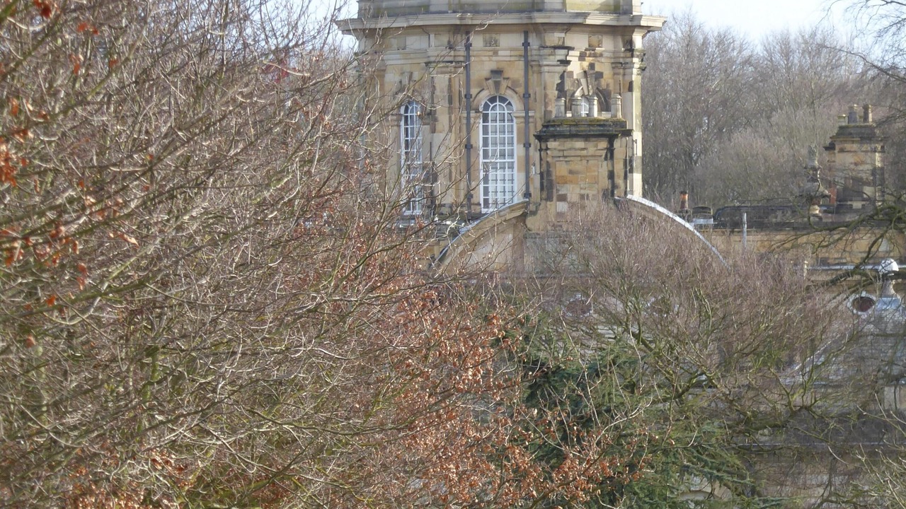 Photo of Others in Helmsley