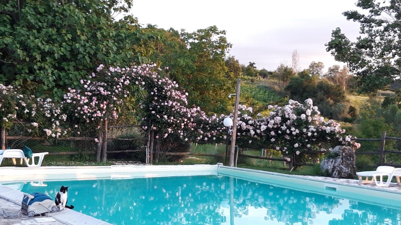 Photo of Outdoor in Magliano Sabina