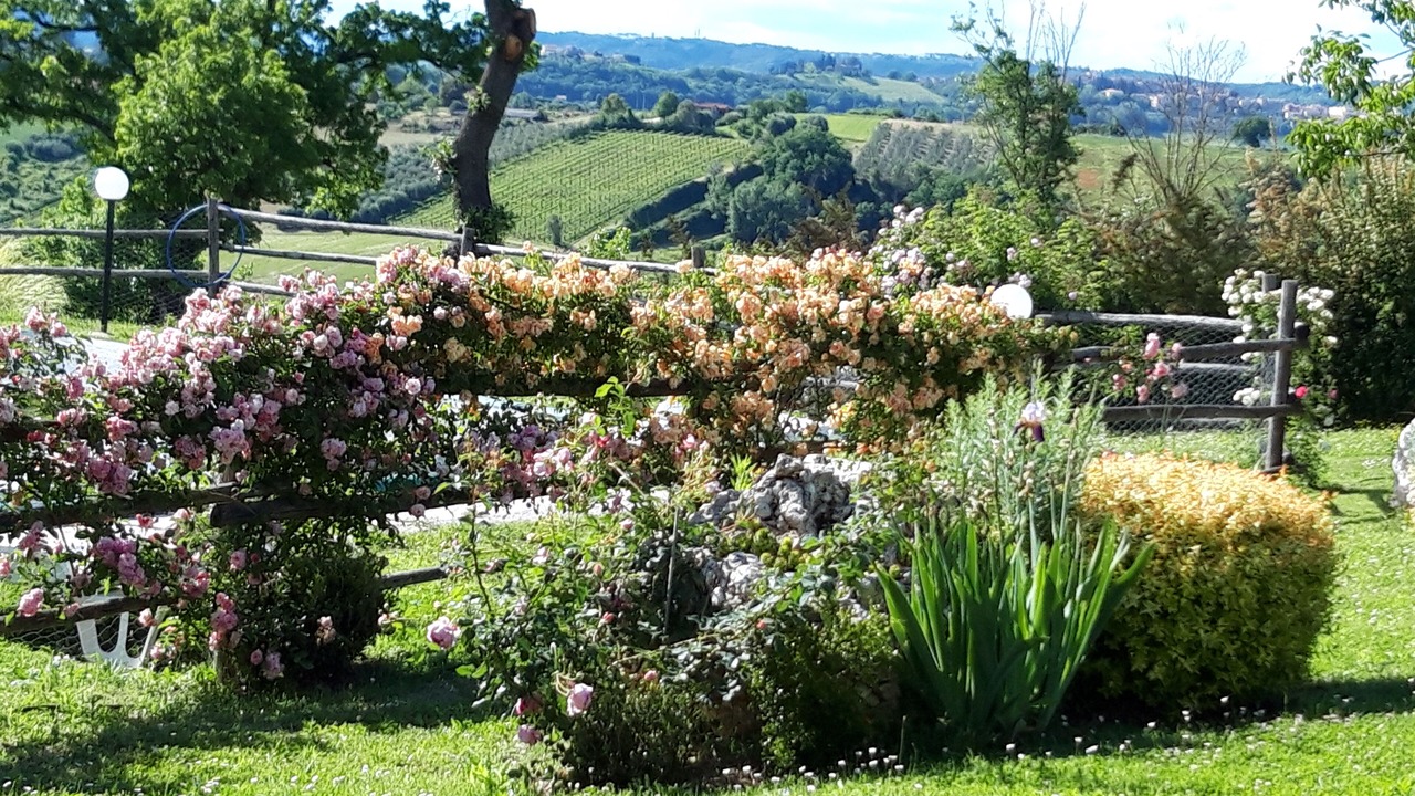 Photo of Outdoor in Magliano Sabina