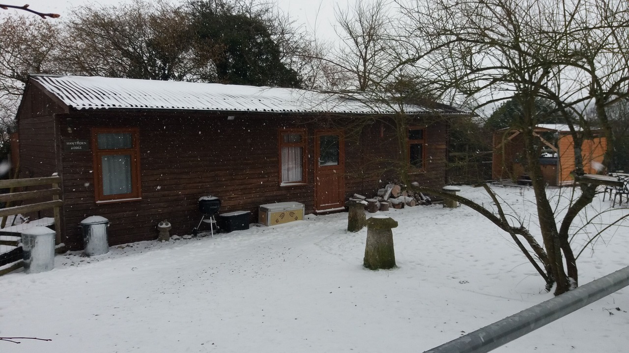 Photo of Others in Bromham