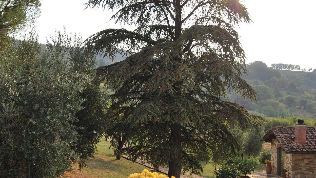 Photo of Outdoor in Villamagna