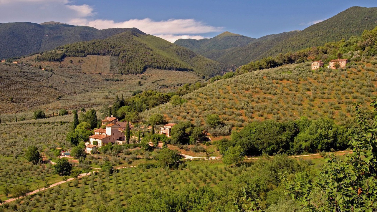Photo of Others in Poreta