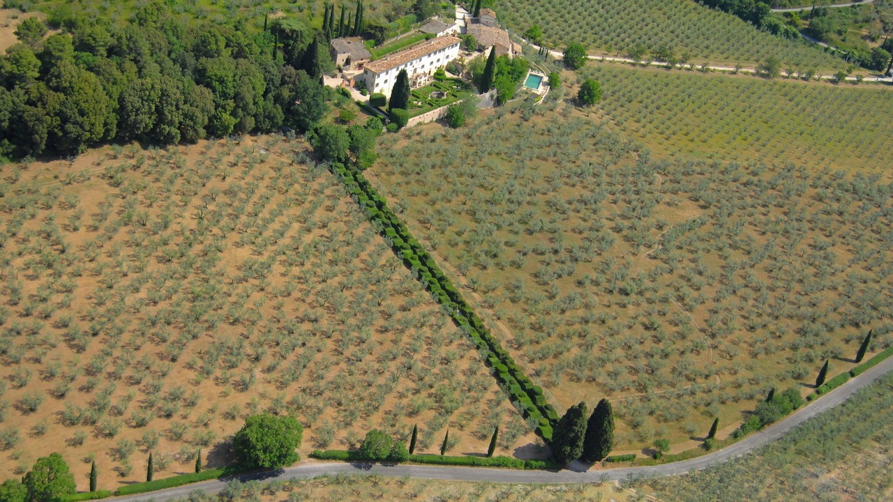 Photo of Others in Poreta