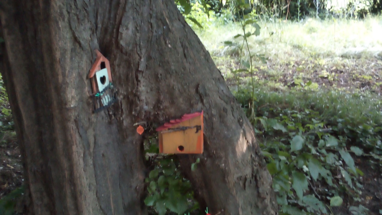 Photo of Outdoor in Avigliana