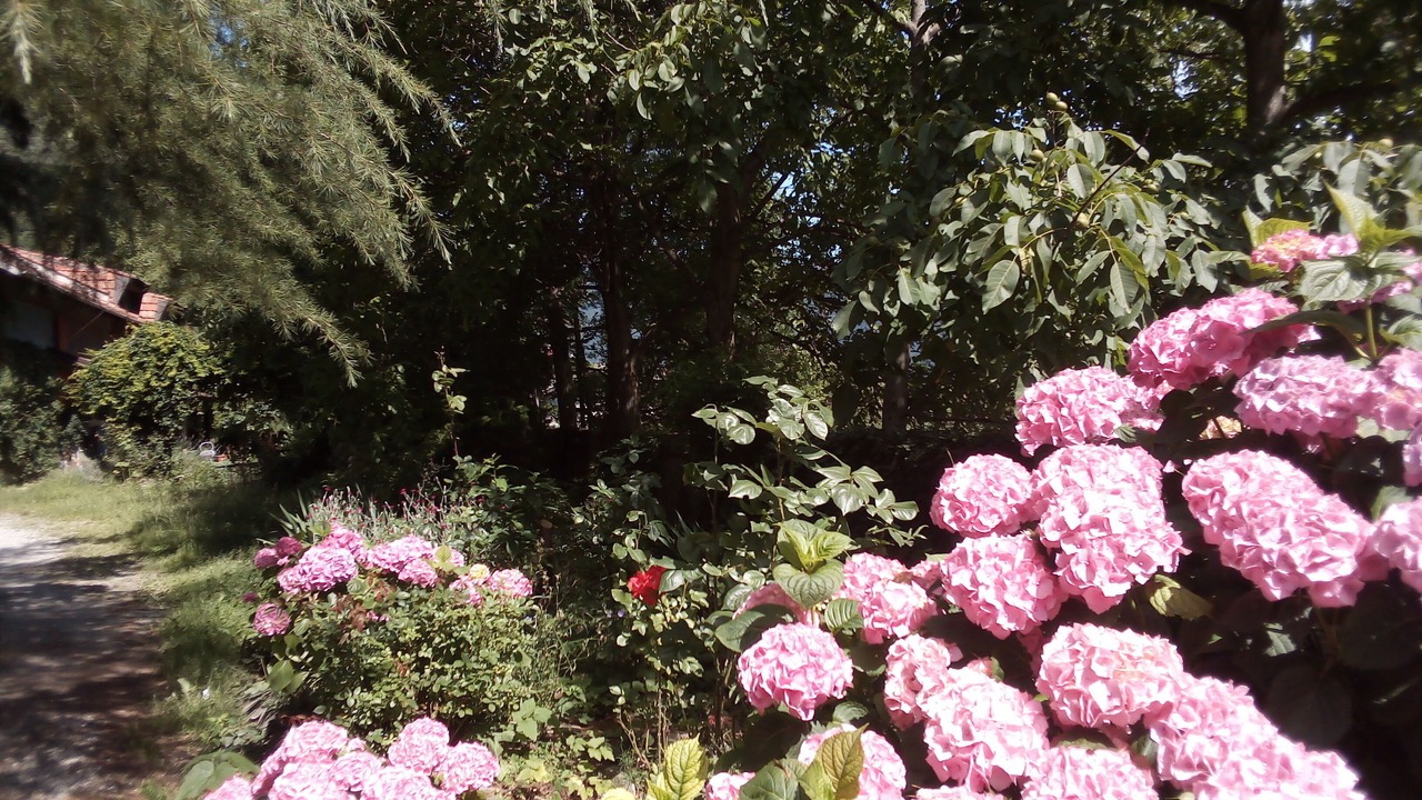 Photo of Outdoor in Avigliana