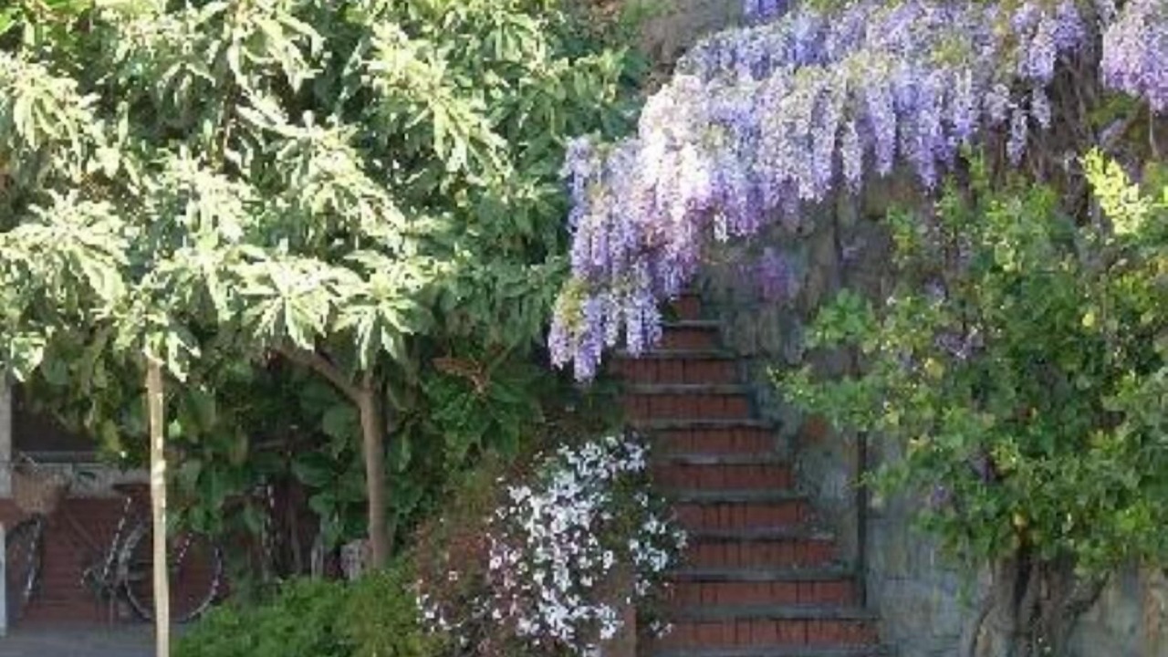 Photo of Outdoor in Imperia