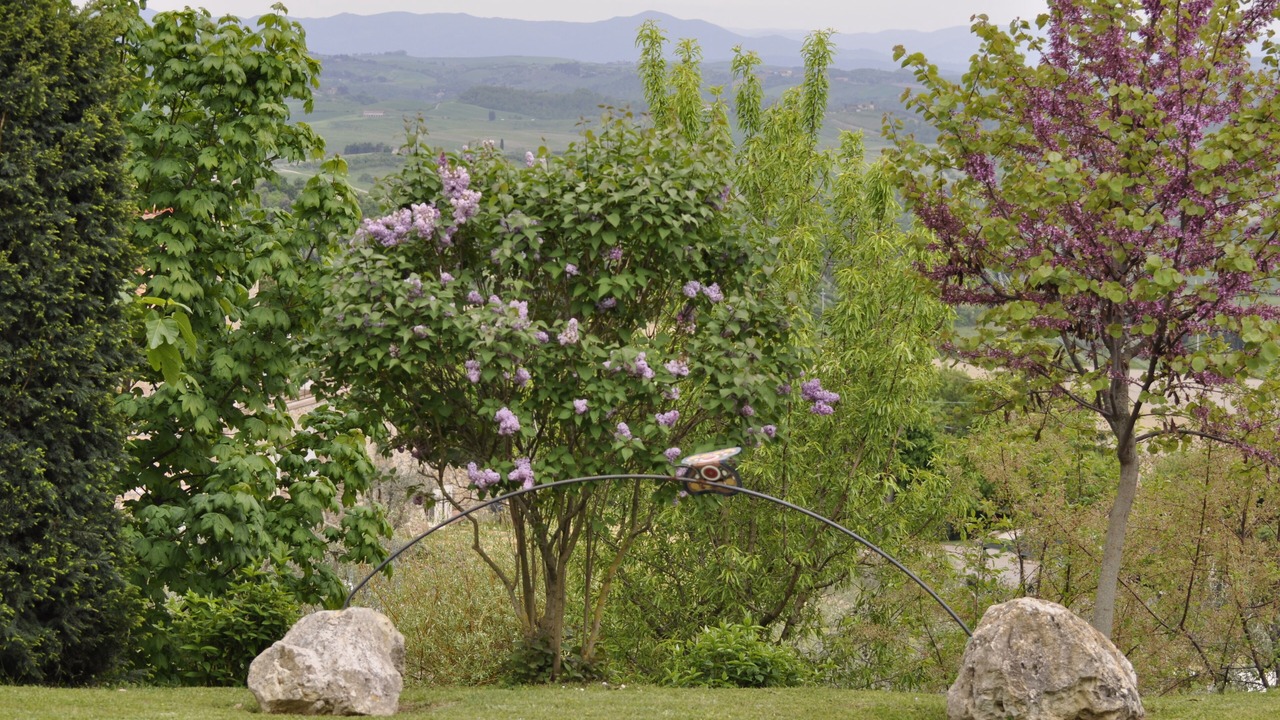 Photo of Outdoor in Iano