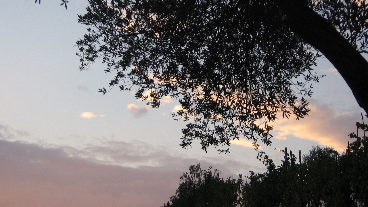 Photo of Outdoor in Cagli