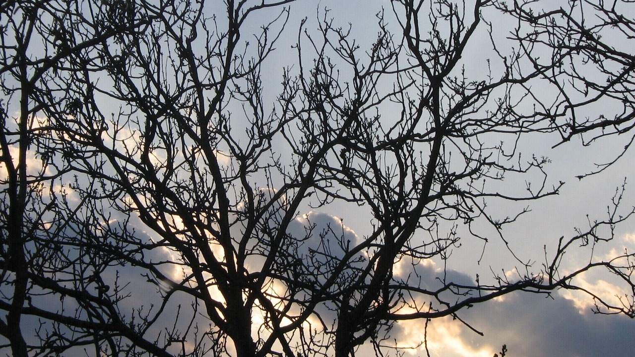 Photo of Others in Cagli