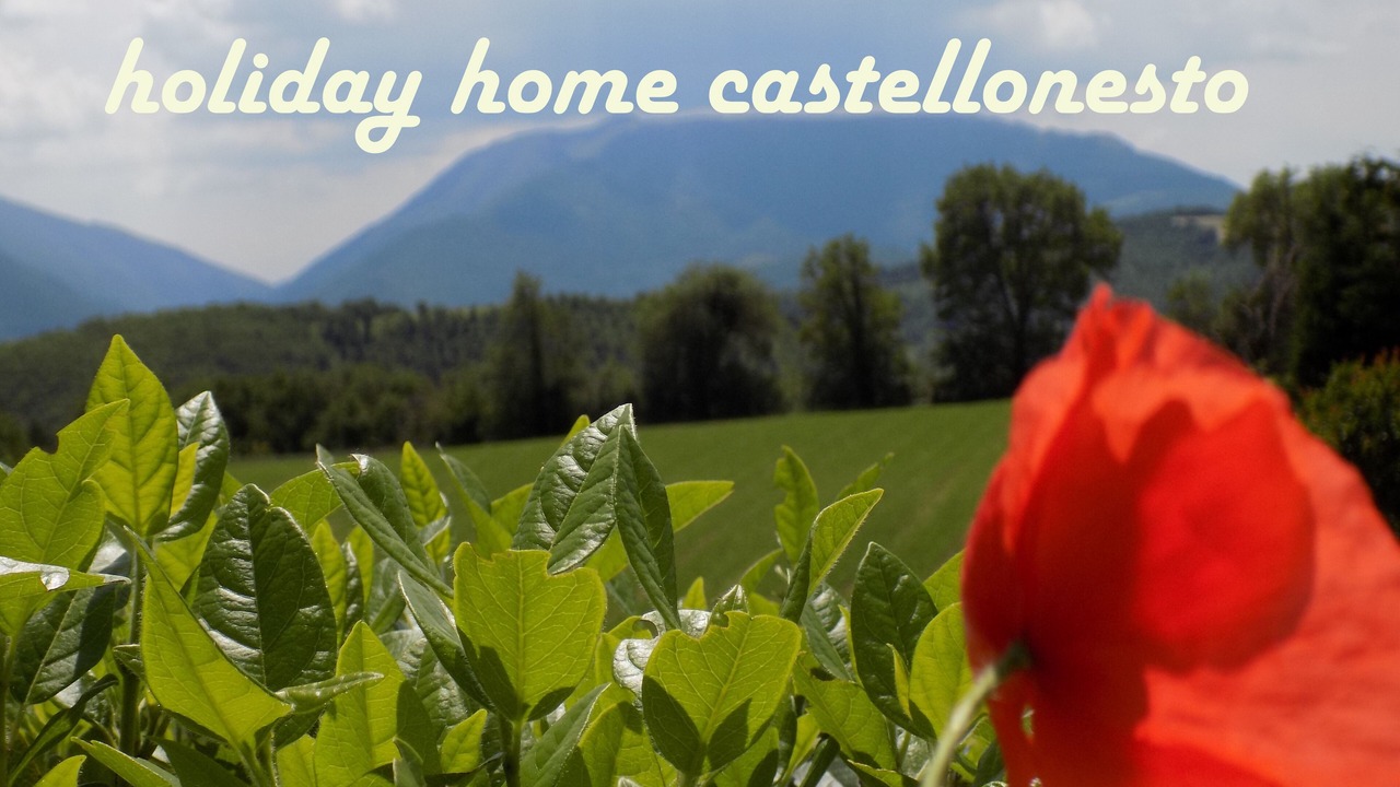 Photo of Outdoor in Cagli