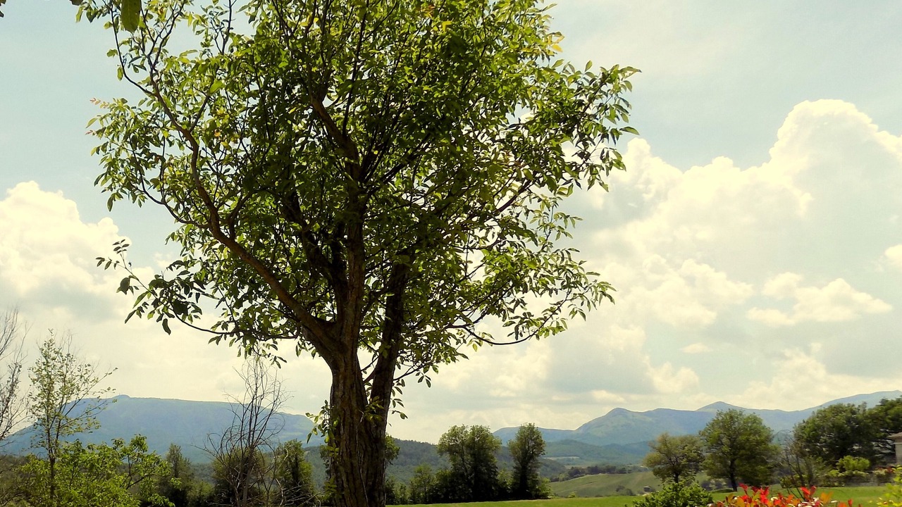 Photo of Outdoor in Cagli