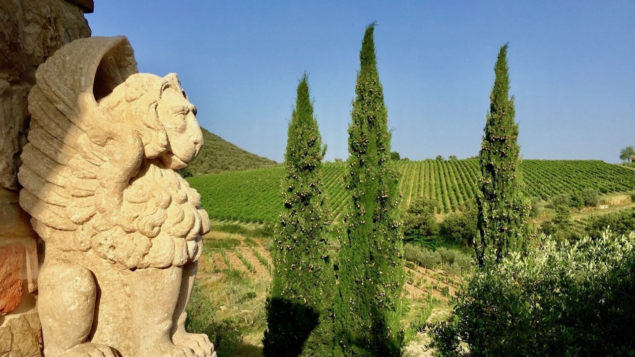 Photo of Outdoor in Villa A Sesta