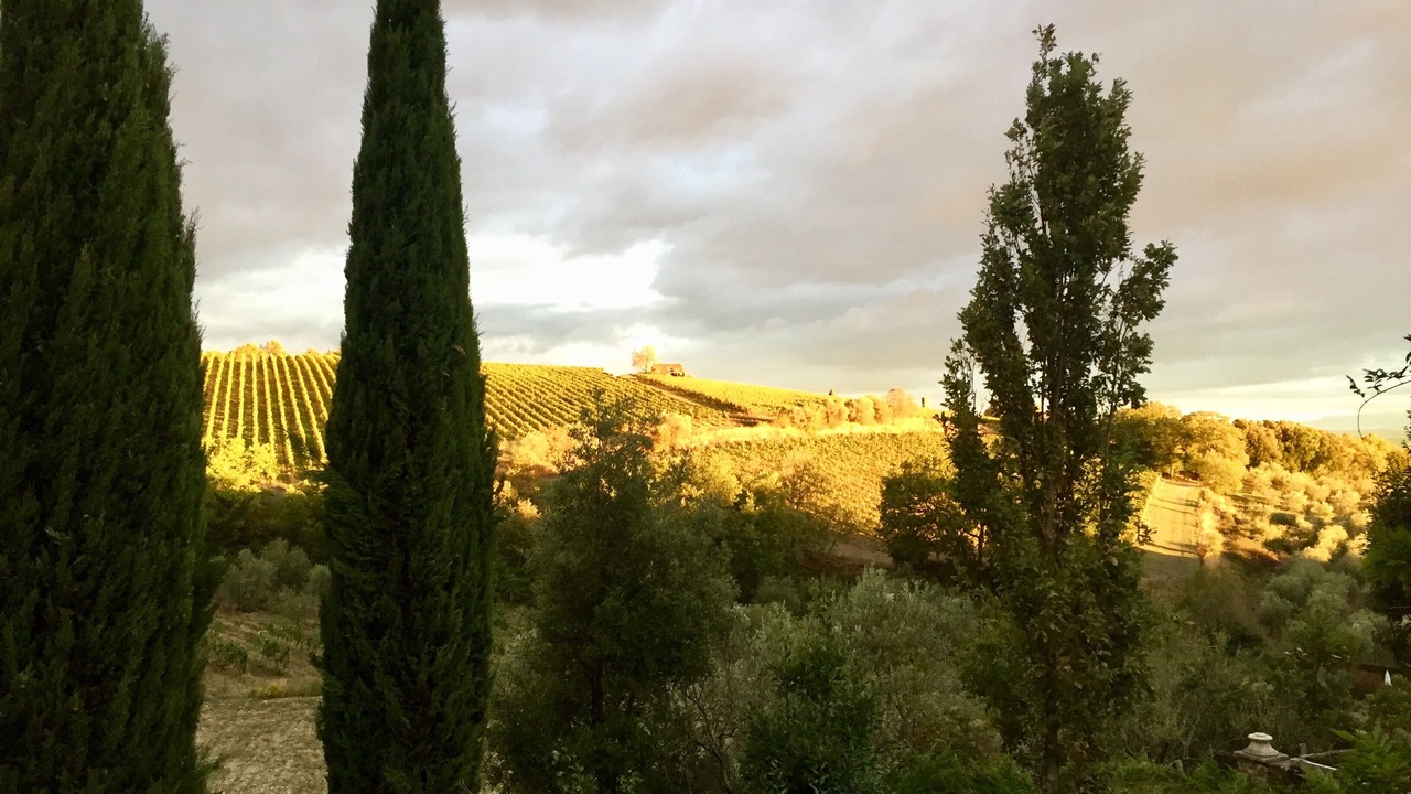Photo of Outdoor in Villa A Sesta