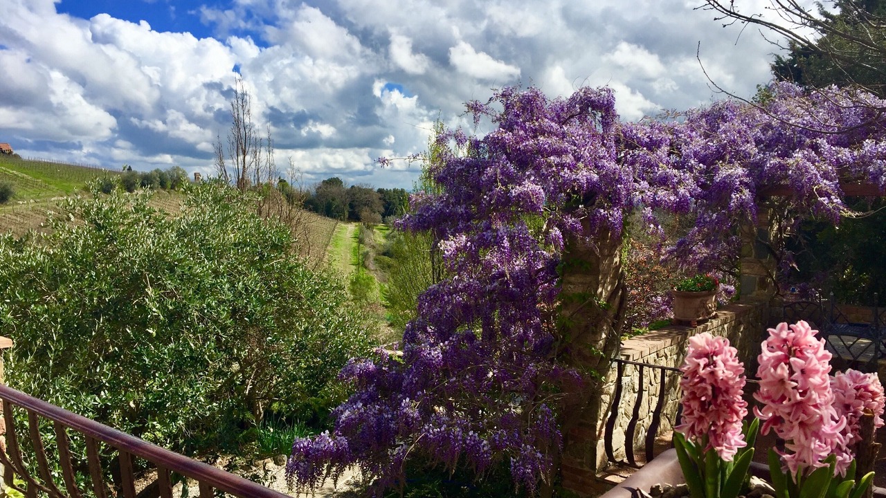 Photo of Outdoor in Villa A Sesta