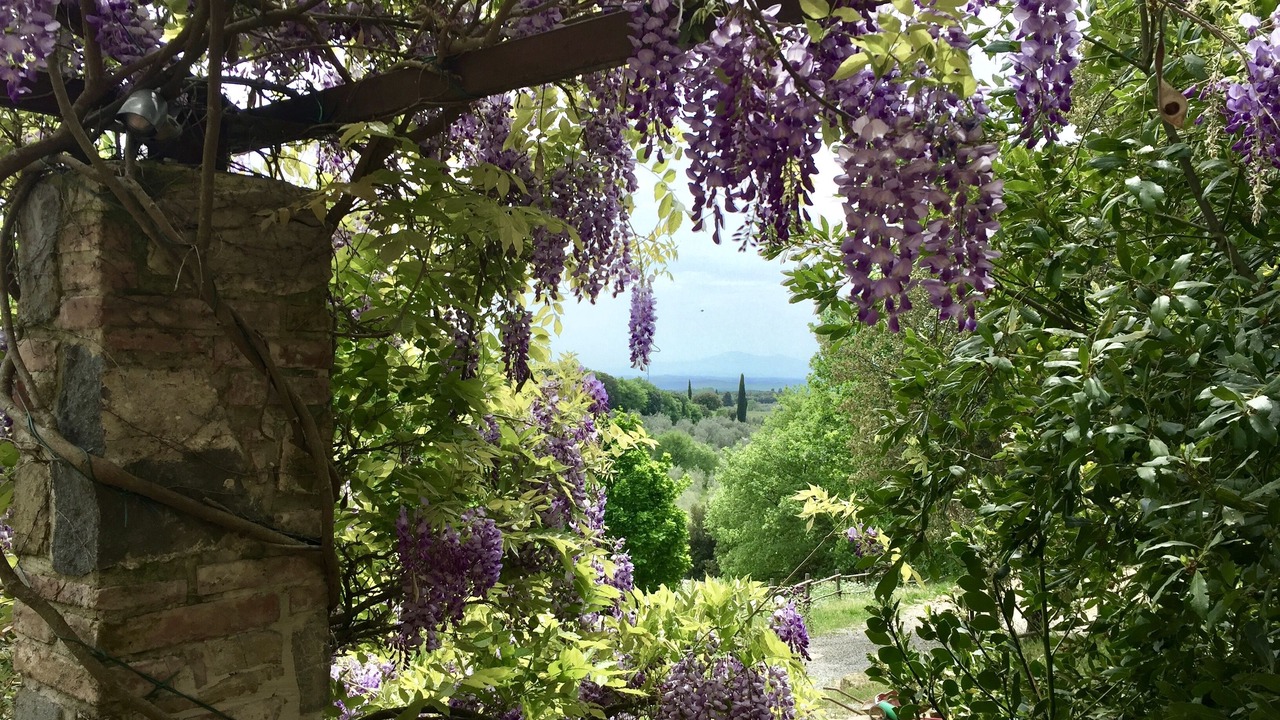 Photo of Outdoor in Villa A Sesta