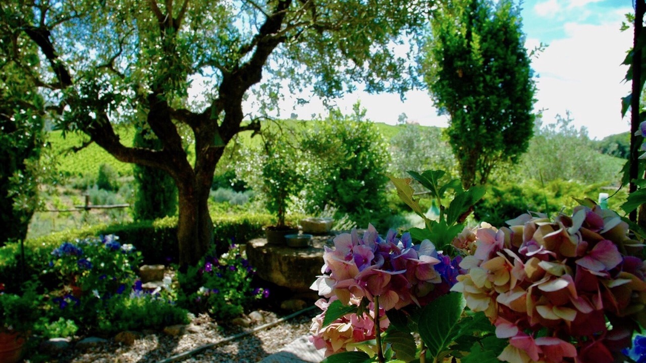 Photo of Outdoor in Villa A Sesta