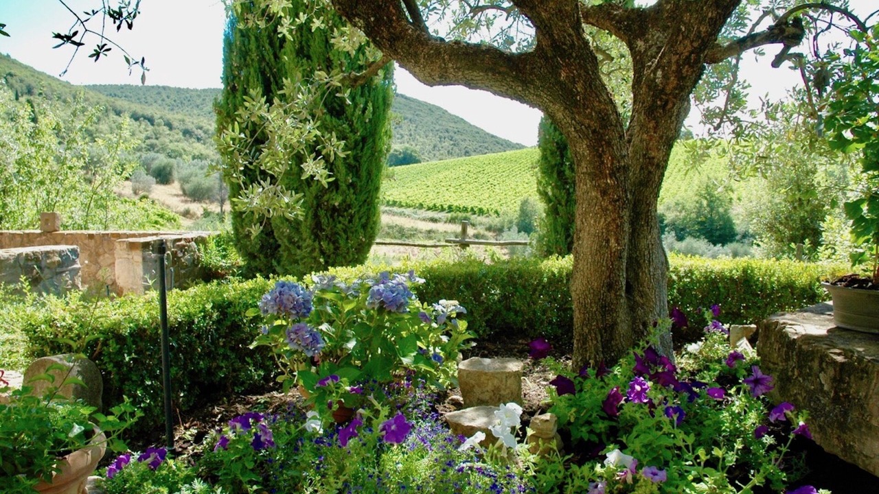 Photo of Outdoor in Villa A Sesta
