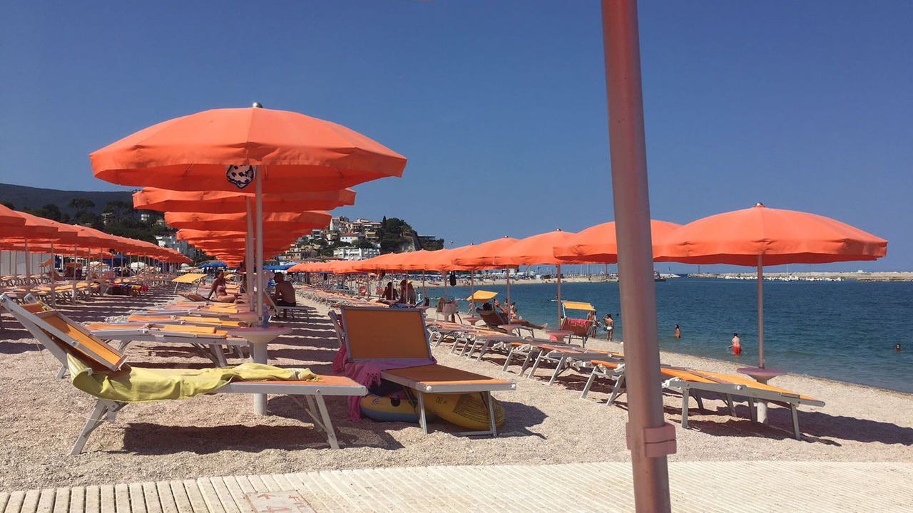 Photo of Others in Monterosso