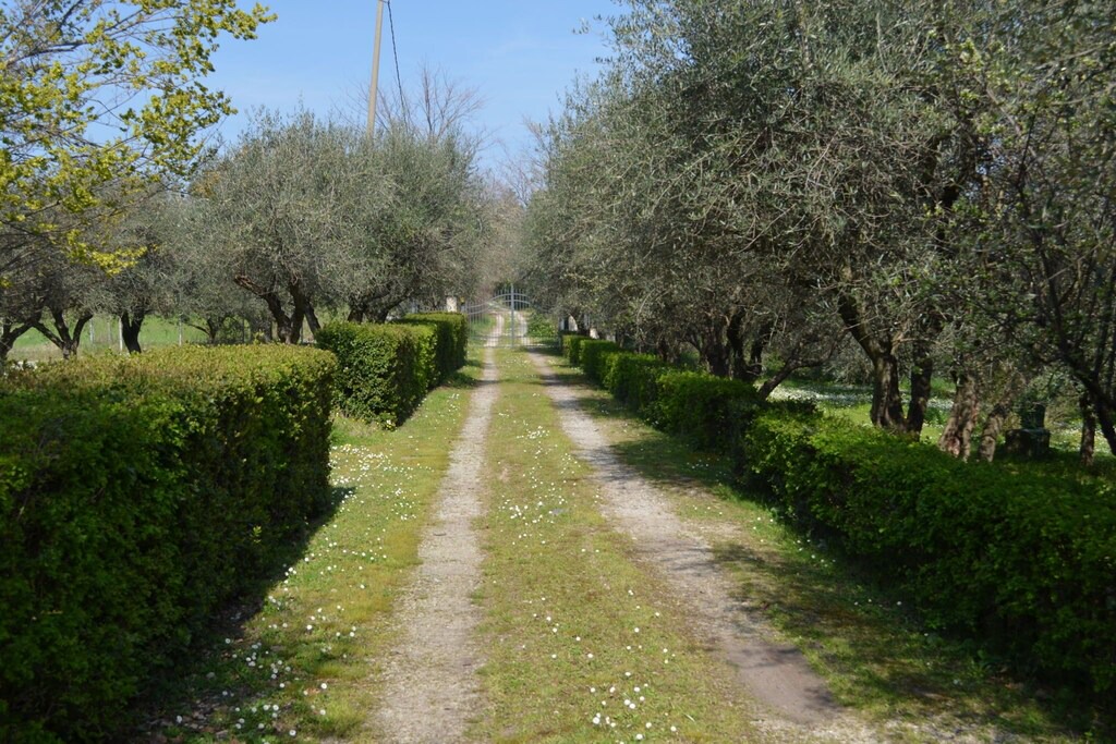 Photo of Outdoor in Dogana