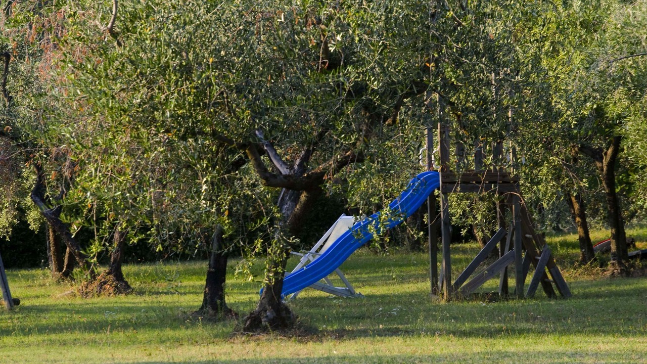 Photo of Outdoor in Castelfranco di Sopra