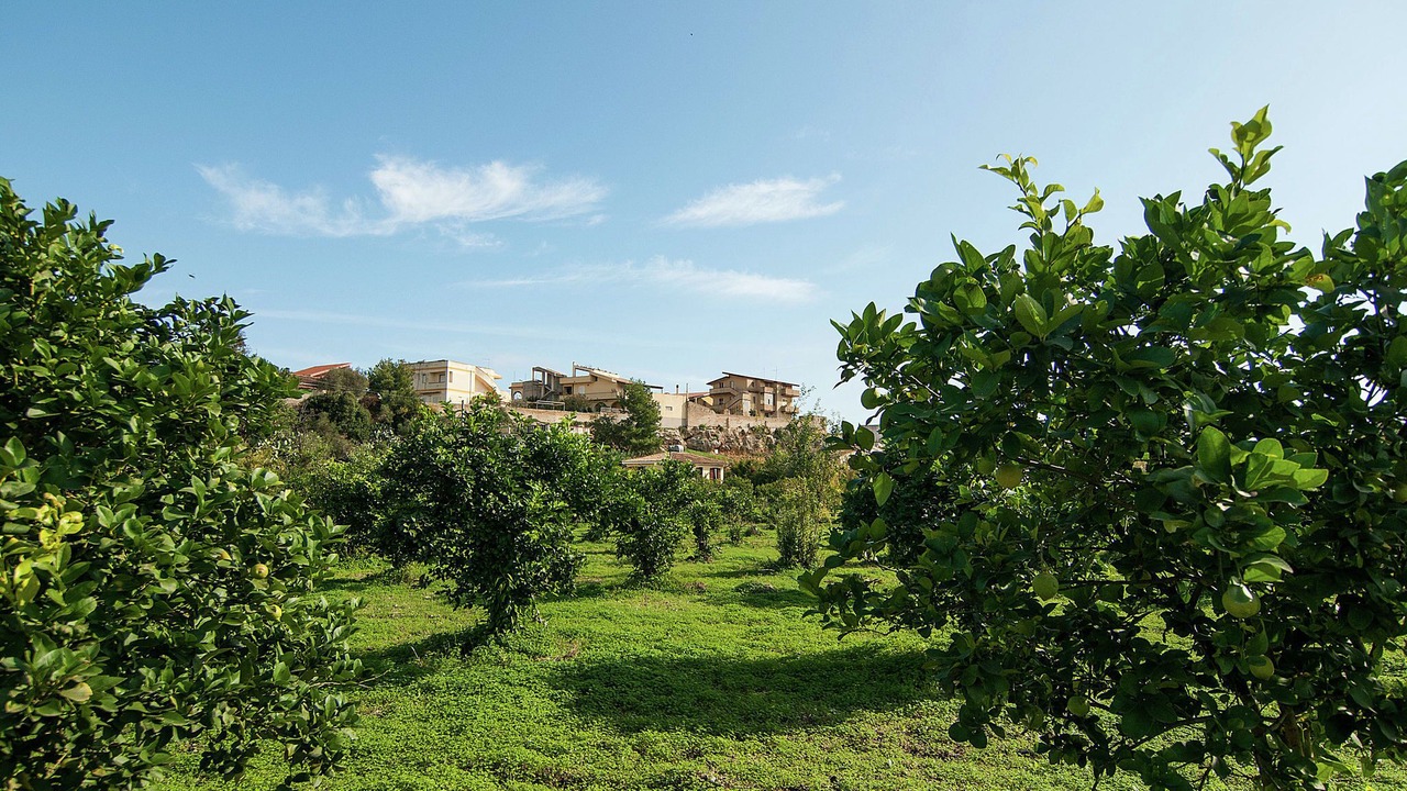 Photo of Outdoor in Noto Marina