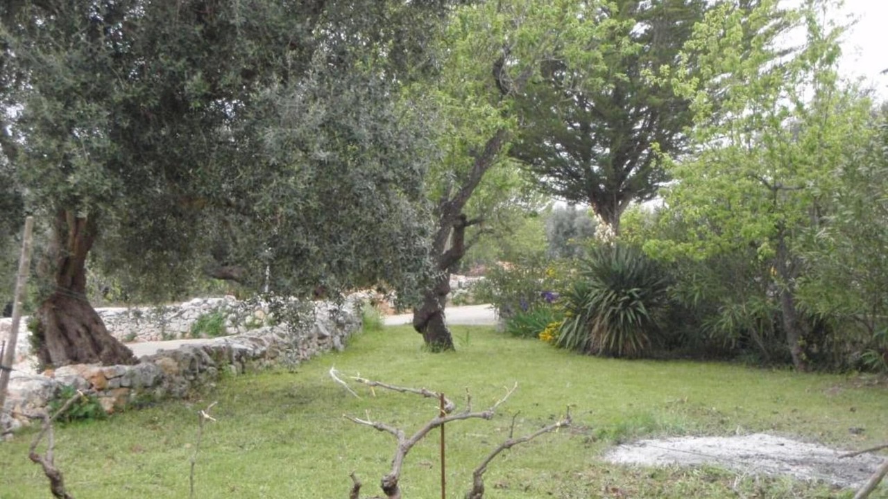 Photo of Others in Cisternino