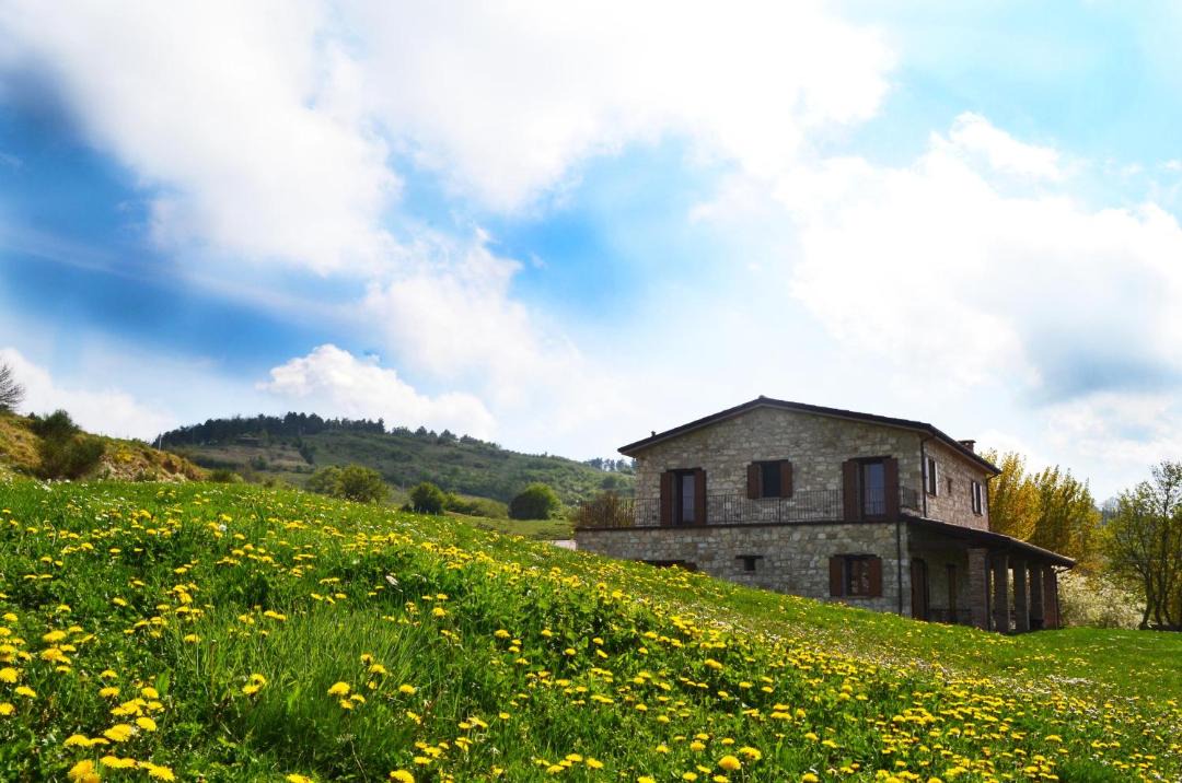 Photo of Others in Montegrimano