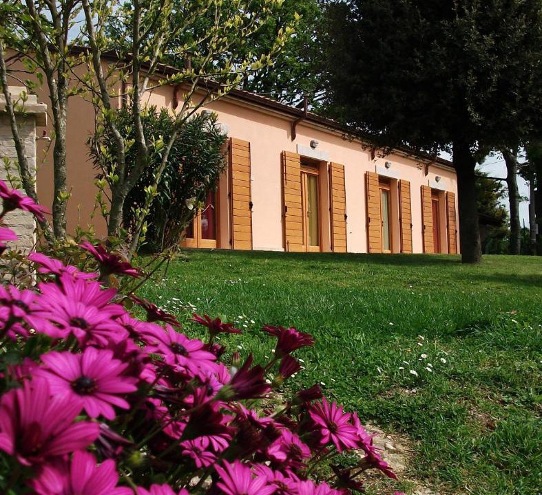 Photo of Others in Ancona