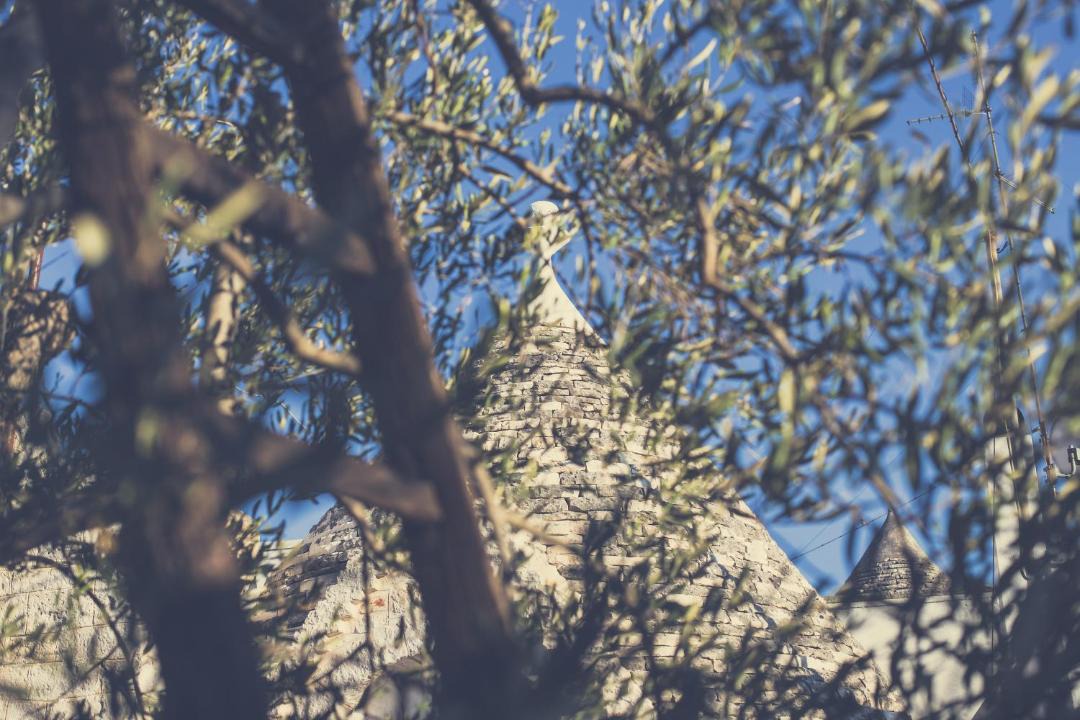 Photo of Others in Coreggia