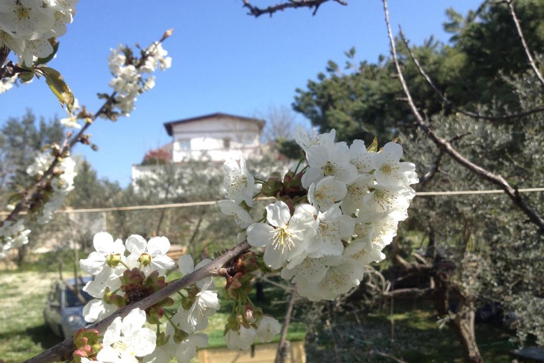 Photo of Outdoor in Chieti