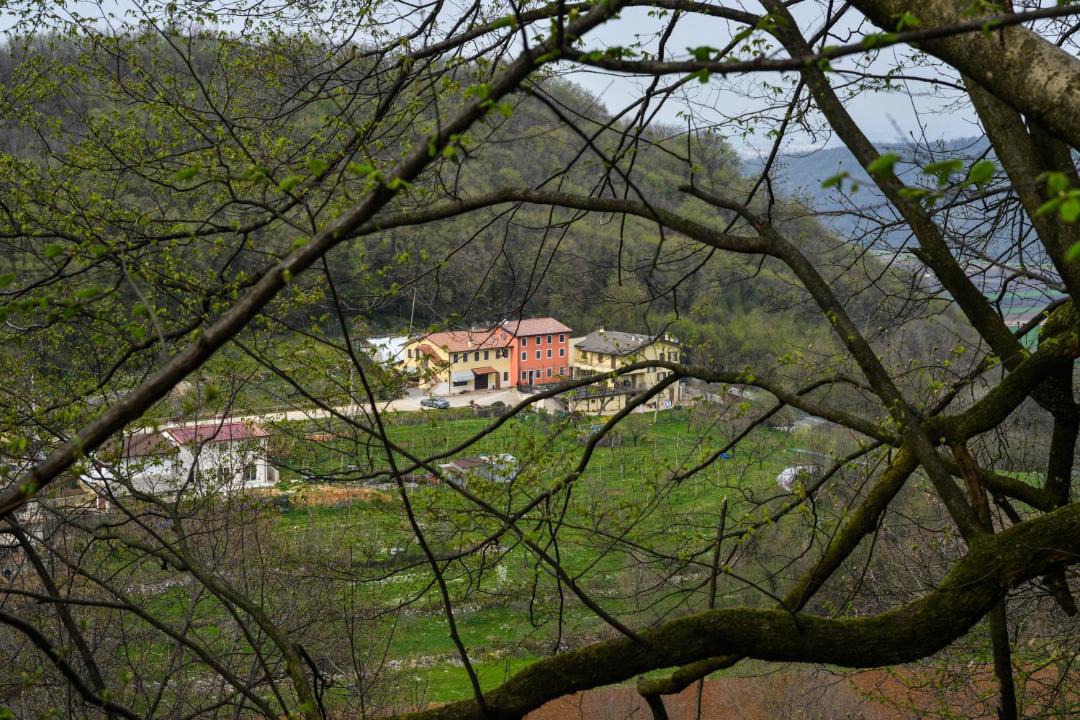 Photo of Others in Arcugnano