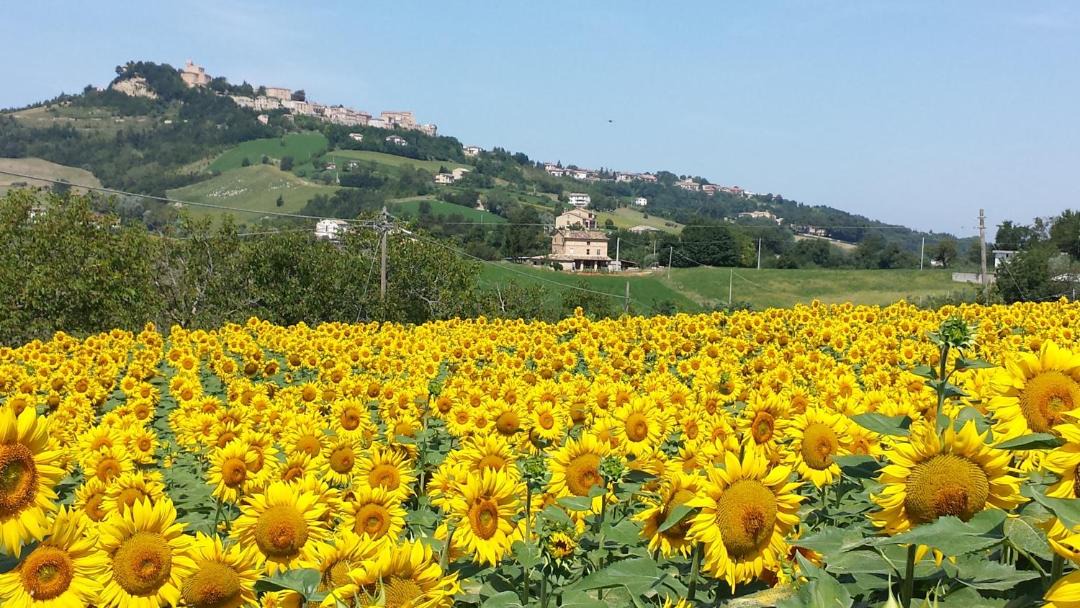 Photo of Others in Santa Vittoria in Matenano