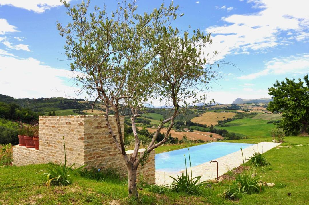 Photo of Others in Serra de' Conti