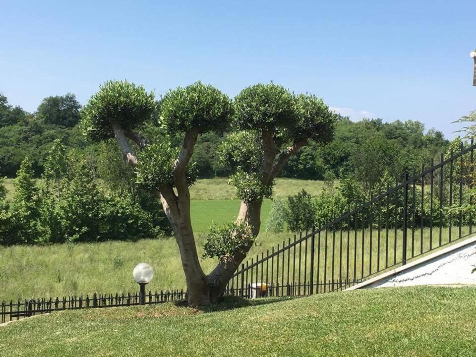 Photo of Others in Pozzolengo