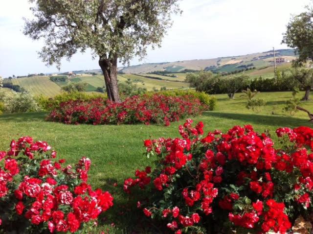 Photo of Others in San Costanzo