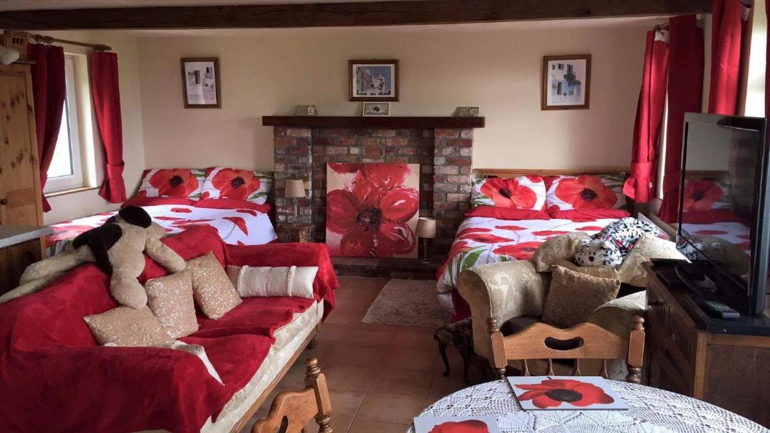Photo of Livingroom in Ballycarry