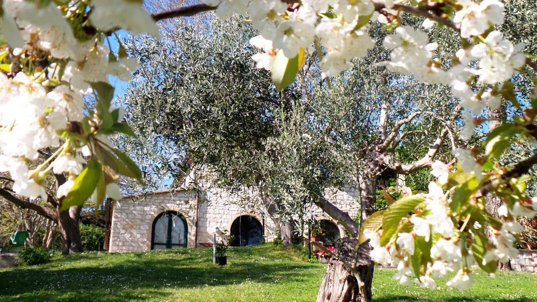 Photo of Others in Villa Musone