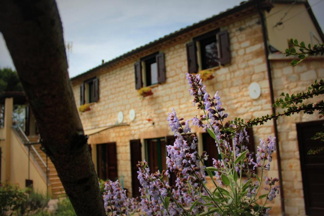 Photo of Others in Villa Musone