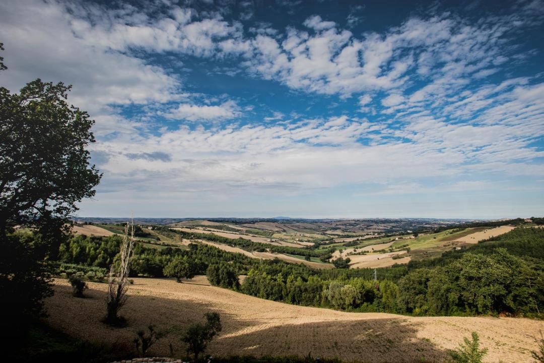 Photo of Others in Loro Piceno
