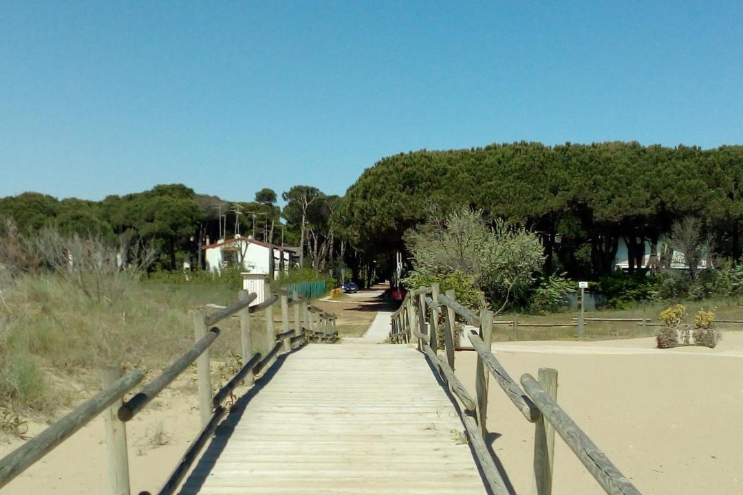 Photo of Others in Jesolo Pineta