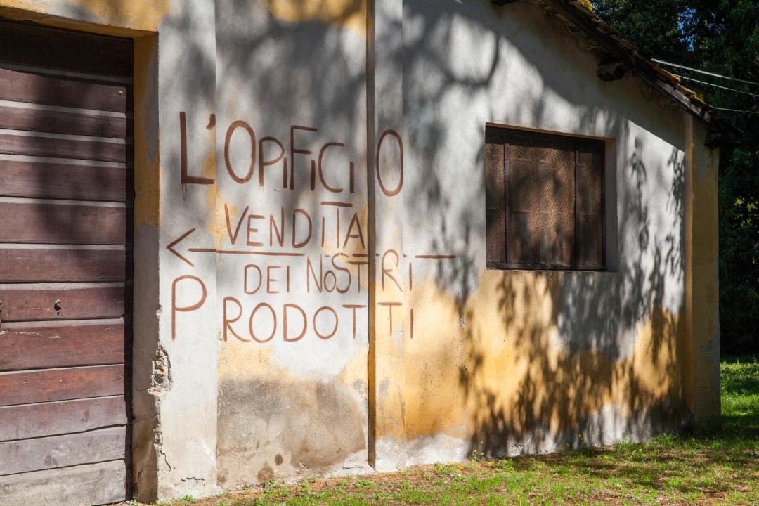 Photo of Others in Civitella Paganico