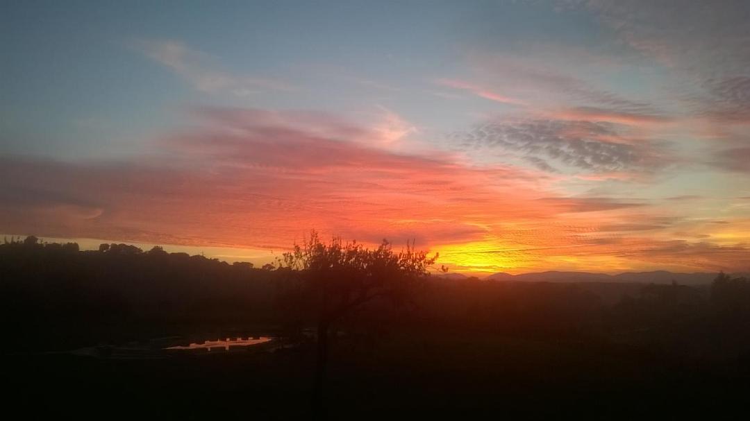 Photo of Outdoor in Petriolo