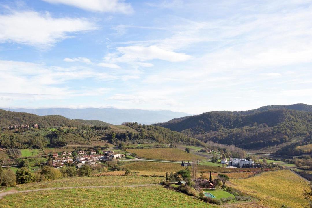 Photo of Others in Greve in Chianti
